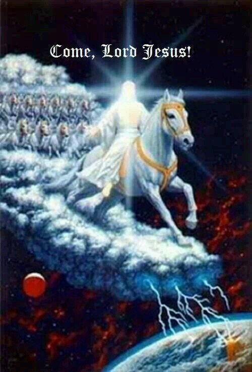 RobertrRay's profile picture. 