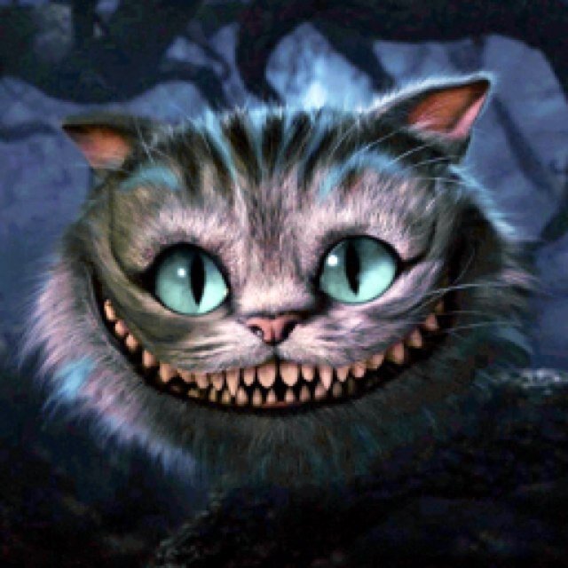 ☽ The cat is back! Guiding you with inspirational #Quotes & #Wisdom #Rp thru your personal Wonderland. Keep smiling & find your way ☾