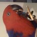 Big Birdie TikTok Correspondent 💚😎 (@bigtesta) Twitter profile photo Big Birdie TikTok Correspondent 💚😎 (@bigtesta) Twitter profile photo