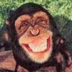 :) SmiLe