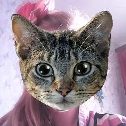 GelyKuznetsova's profile picture. 