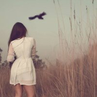 Đàm Thị Huyền (@dam_huyen) 's Twitter Profile