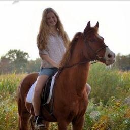 ~ Horses3 ~ Since 11-12-13 ~ ras van de week: Haflinger & Arabier