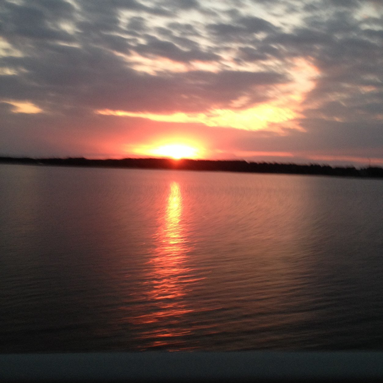 foster_not's profile picture. None