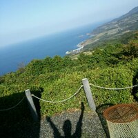 たかぼぉ (@takabo527) 's Twitter Profile