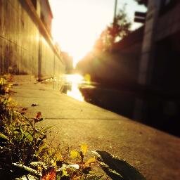 Fanfiction author, student, photographer, realistic idealist