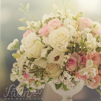 wshariki's profile picture. 