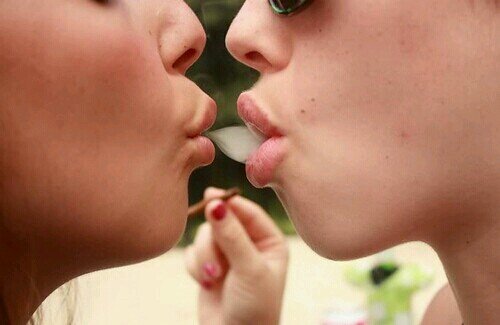 no papers, catch vapors↑