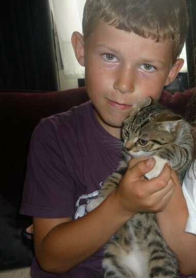 oliver_bryan1's profile picture. Skrillex , knfeparty,UKF