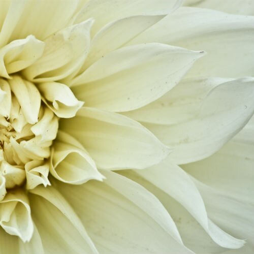 Fashion, Beauty, Home Decor and Lifestyle. // Images courtesy of jmcmurdo and bschwehn