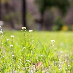 Abrazame_Korea's profile picture. 나를 꼭 껴안아 주세요 - Korea