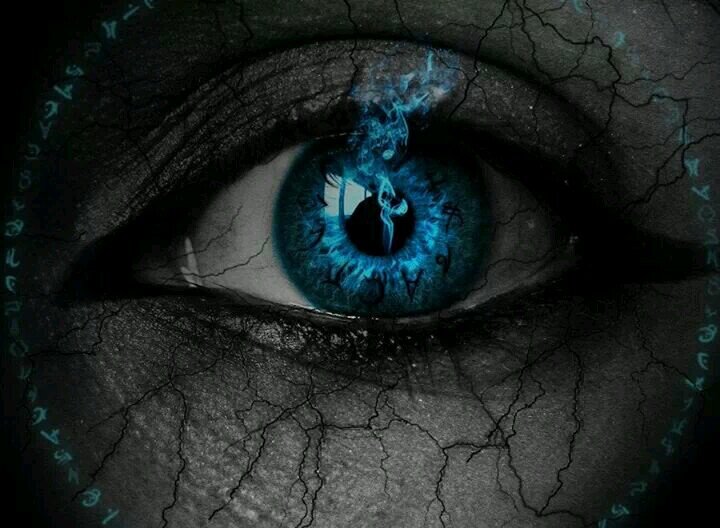 segenak's profile picture. 