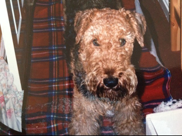 AgnewKagnew's profile picture. 