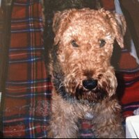 kevin agnew (@agnewkagnew) 's Twitter Profile