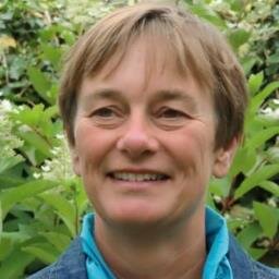 SaskiaWilmes's profile picture. sociaal domein, web-redactie , basisvaardigheden, taalkundige, informatiespecialist, verbinding, burgerinitiatief, overheidsparticipatie