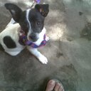 rosa picon - @picoturrina - Twitter