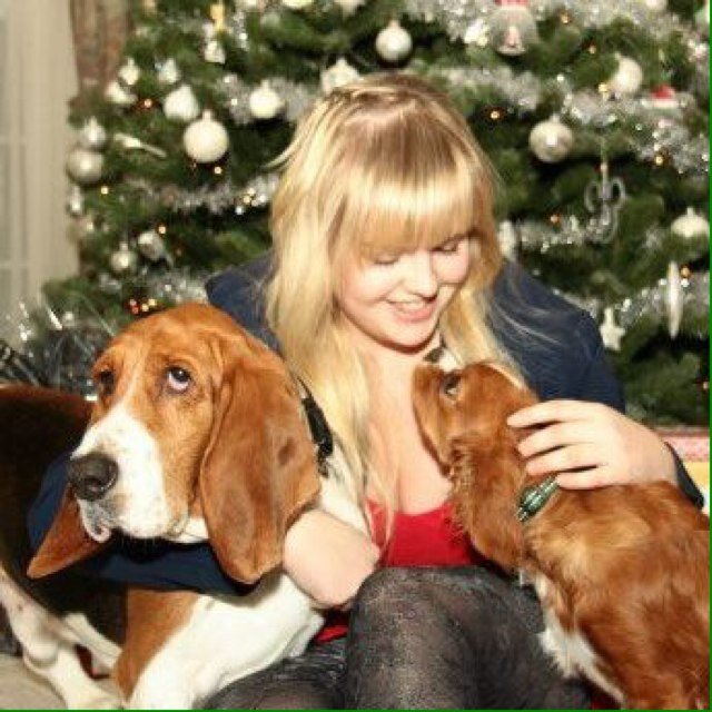 Elvira_v_D's profile picture. 