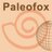 Paleofox