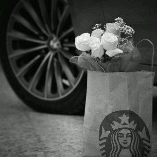 sooso1202's profile picture. اذكروا الموتى بدعوة فلو علمتم فرحتهم بها لما نسيتوهم لحظه ..
عسىُ ربيِ يملى بِ السسعادهہُ دنيآيْ .. ‏‏الابتسامه خير ما تقابل فيه الناس .. عشقي الإتحآد ❤❤