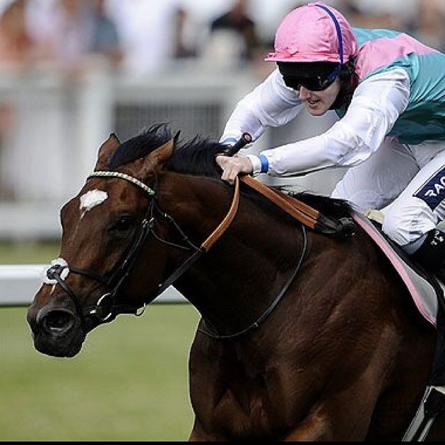 We have sources and experts in the horse racing circles bringing YOU the best tips on twitter