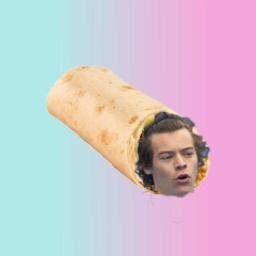 Hii this is a free follow from @narrysnicotine  please follow her! stay fab xx