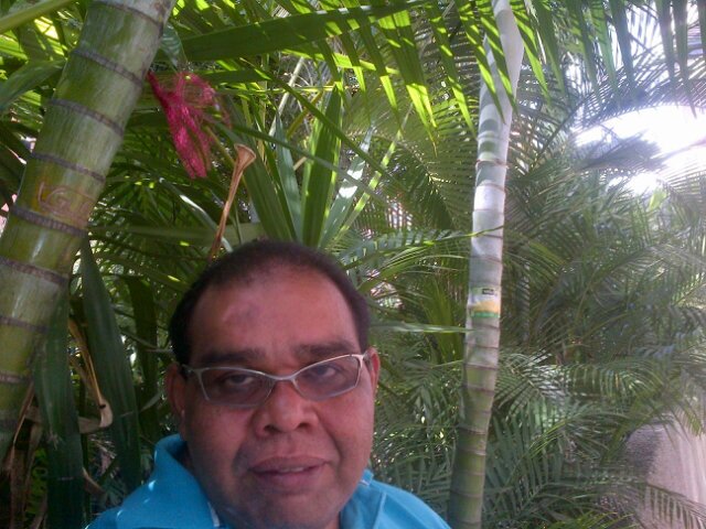 vfgonzalezr27's profile picture. Archivologo UCV