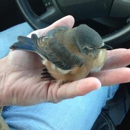 dexwinchester99's profile picture. writer, real estate agent, aspiring renaissance man