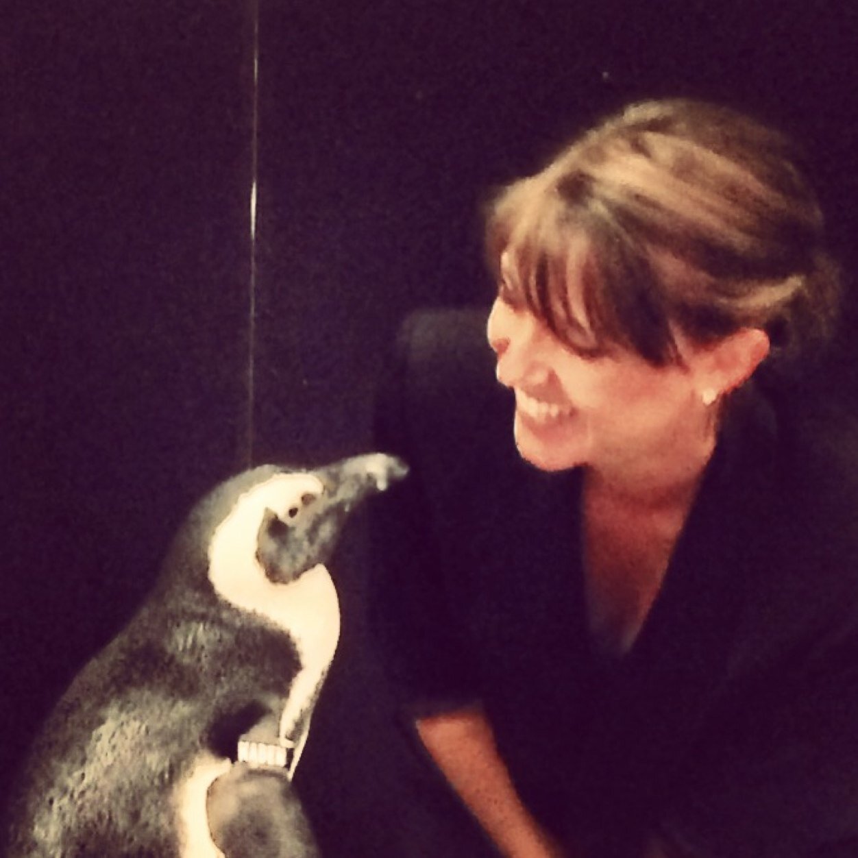 jennifer3386's profile picture. Good food. Good beer. Good design. Good dogs.