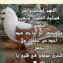 سبحان الله (@1391Www) Twitter