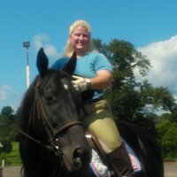 Karin Bauer(@equinetraveler) 's Twitter Profile Photo