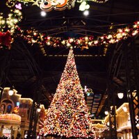 まいのすけ📎 (@disneykuro) Twitter profile photo