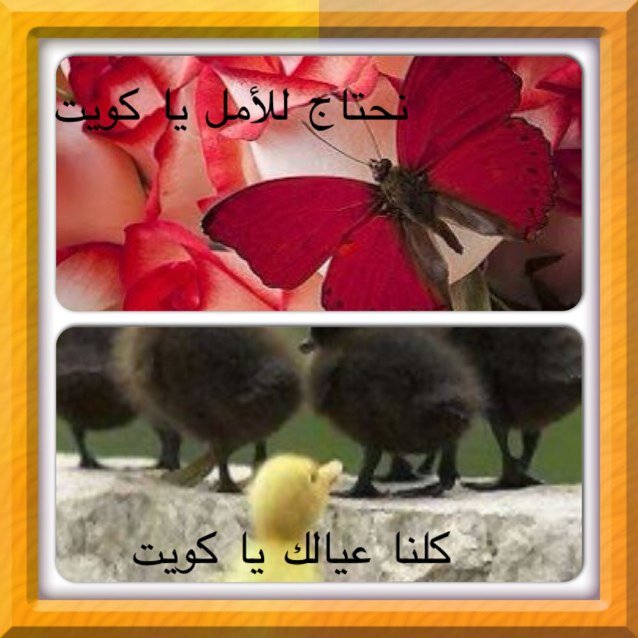 اللهم أرزقنا وطنا نحبه ويحبنا