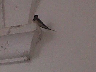 patriziagiord4's profile picture. 