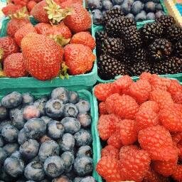 Our family farm was established in 1876, in the Skagit Valley. We sell organic and conventional berries at farmers markets throughout the greater Seattle area.