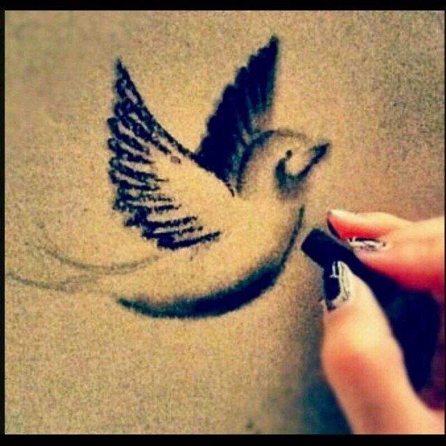 1299990's profile picture. الامل هو الحياه والحياه هي الامل غدا افضل باذن الله