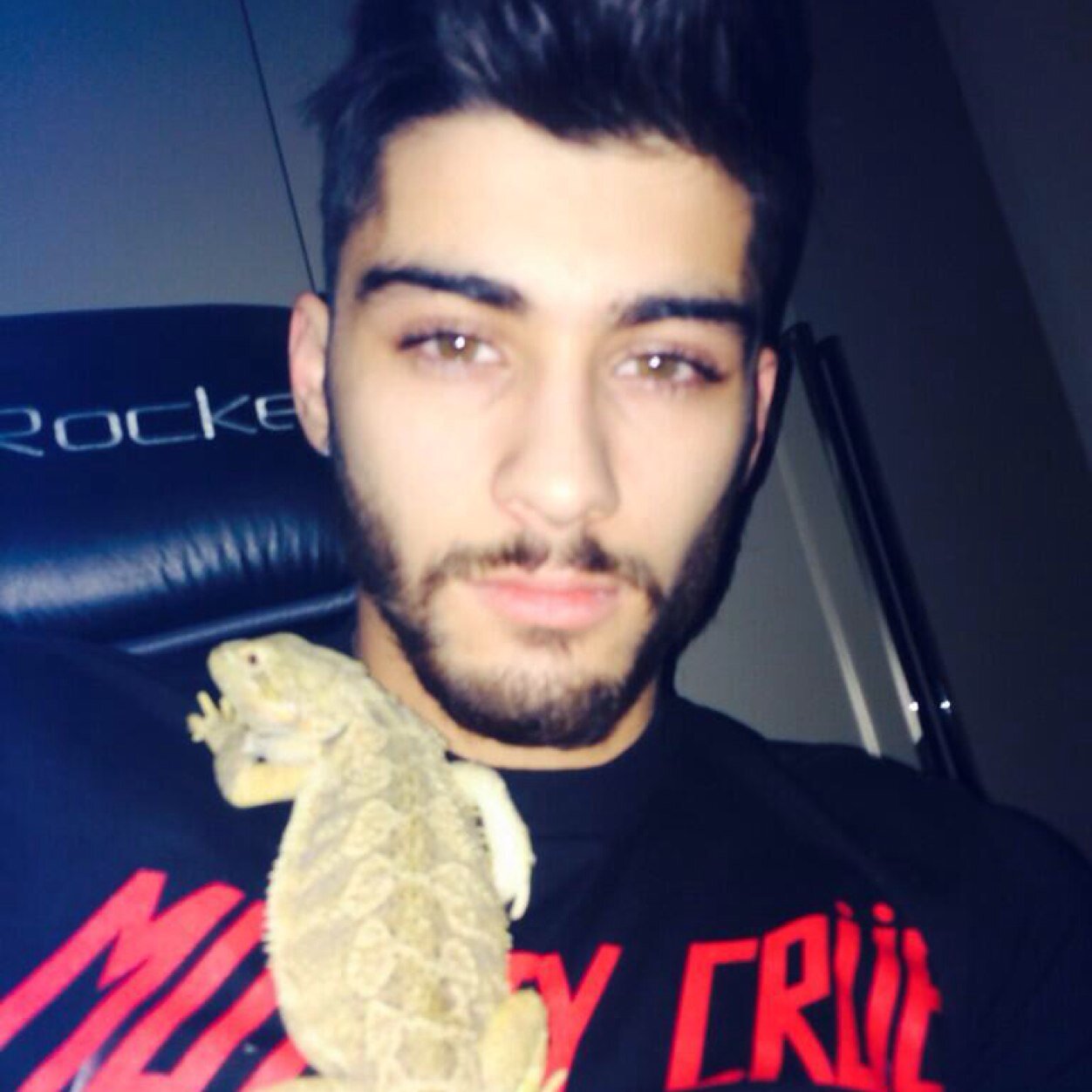 I LOVE ZAYN MALIK.  *-^