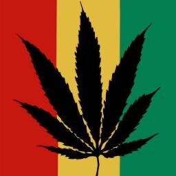 Just a stoner with a free mind...