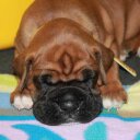 doris sprague - @DorisSprague - Twitter