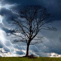 EmilyStorm2014's profile picture. Writing about the supernatural, thrillers, and horror stories.  #horror #author #paranormal #supernatural #thriller