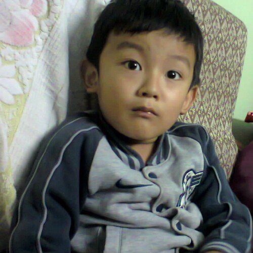 NyenDa3's profile picture. I am Fan of Counter strike and P.S.... I follow you and you Follow me back please..