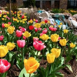 riverwoodsconf's profile picture. The Conference Center has 30,000 square feet for any sized party from 2 to 1,000 people; corporate conferences, weddings, and special gatherings!