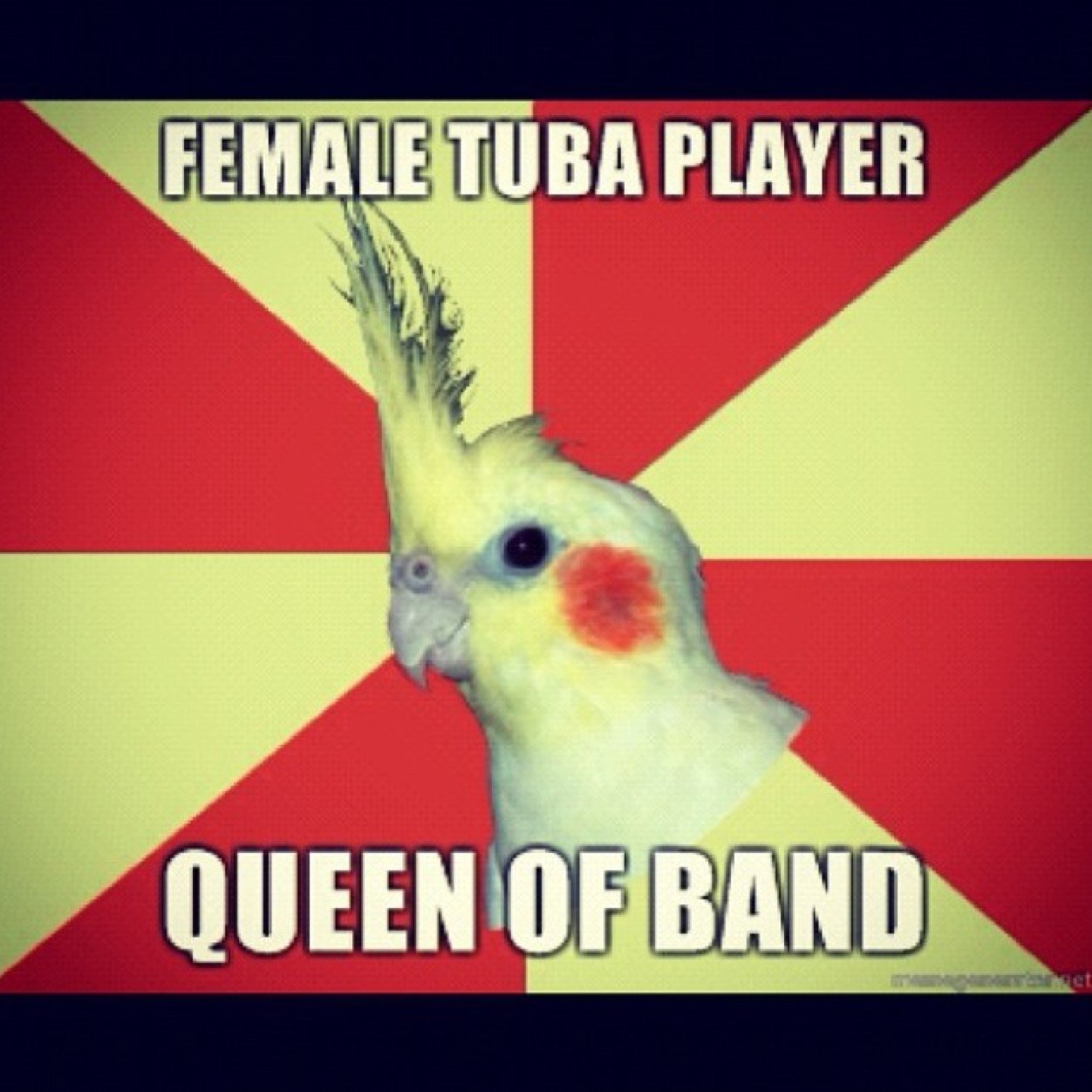 Just some band quotes, memes and everything else. I'll try to follow back everyone I can. Enjoy!