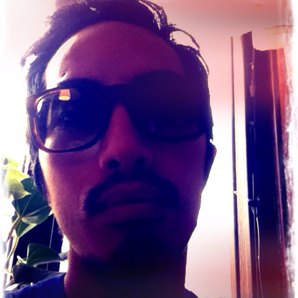 nguyenlinh's profile picture. Ukulele enthusiast and programmer from Vietnam and Sweden.