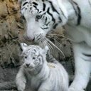 andrea grob - @andrea_grob - Twitter