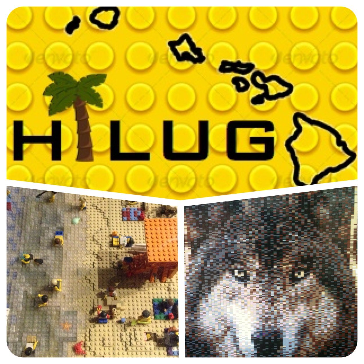 Local Hawaii LEGO Users Group