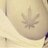 Marihuana_varia's profile image