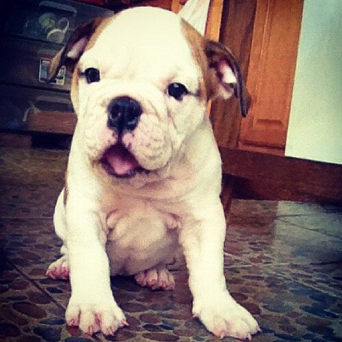 ;3 nhac