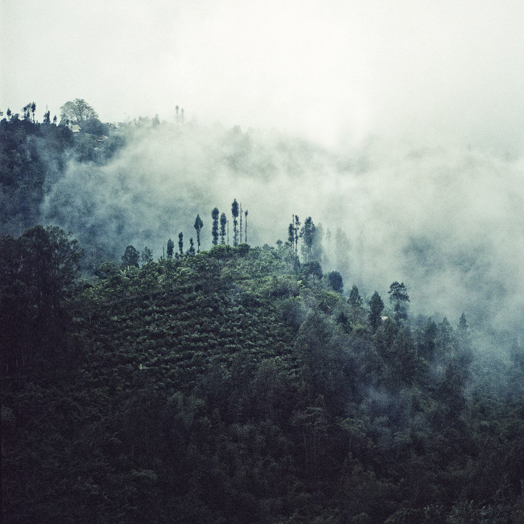 nospectre's profile picture. wha