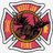 MJFire's profile image