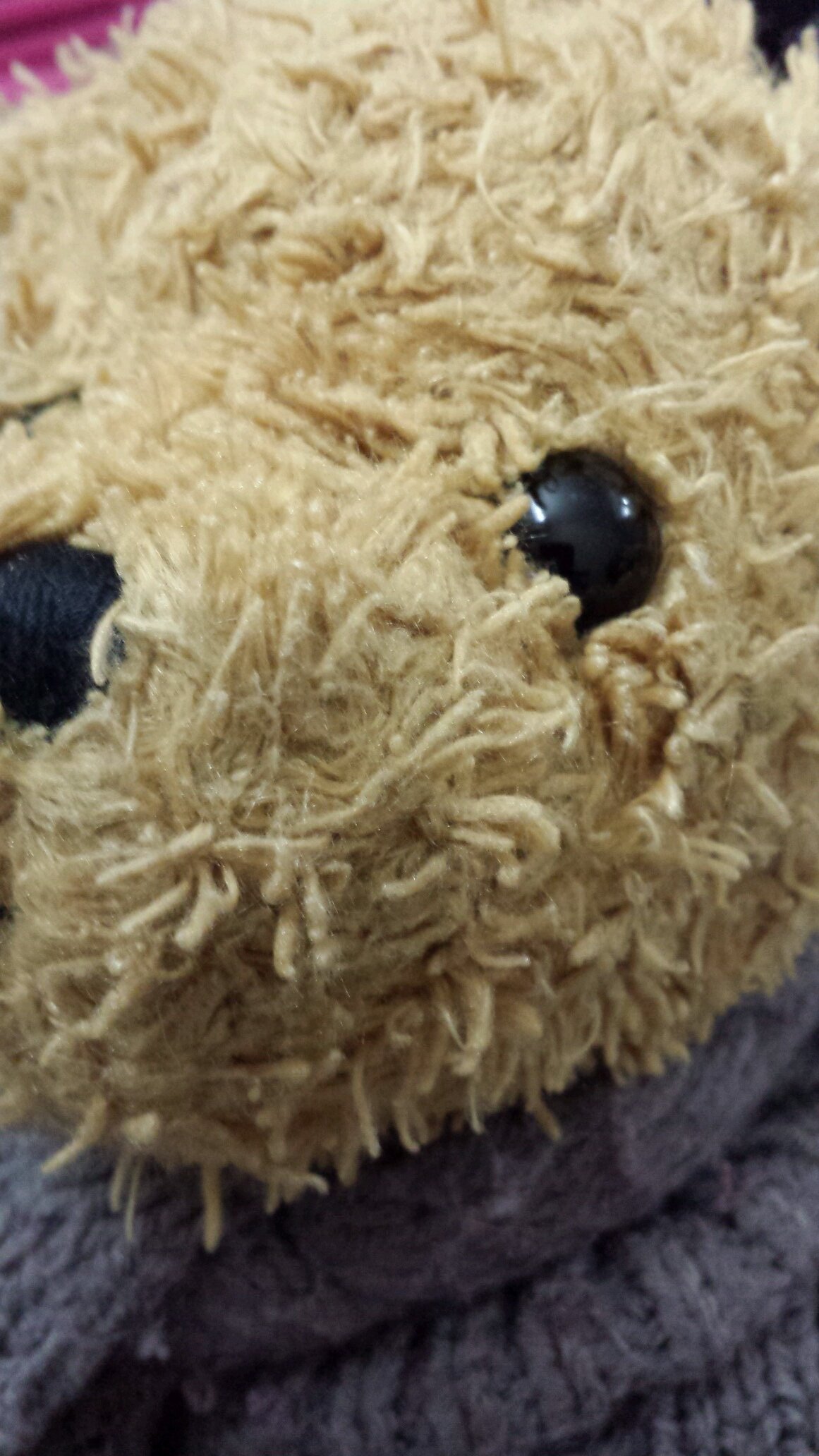 yumnalovesegypt's profile picture. 